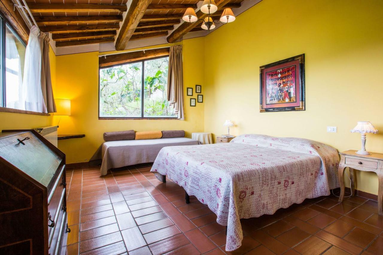 Agriturismo La Villa Romita Tavarnelle Val di Pesa Exteriér fotografie